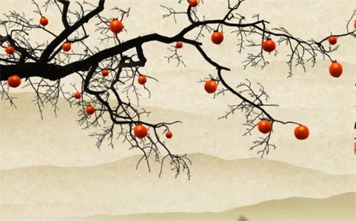 2026年11月13日出行黄历查询