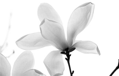 2028年09月26日出行黄历查询