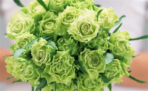 本月属狗黄道吉日查询让好运随行