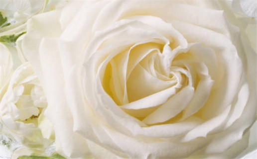 颁奖黄道吉日有哪些(颁奖黄道吉日有哪些日子)