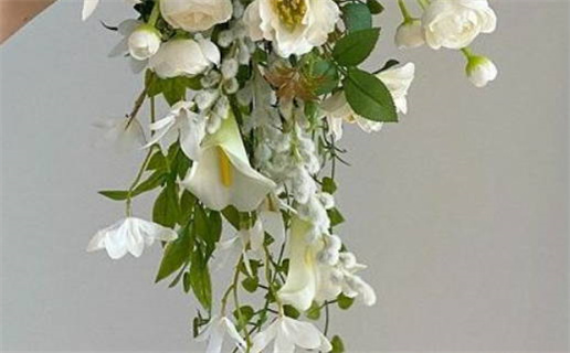 生辰八字合婚免费算命表及解析指南