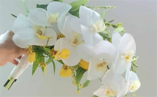 天雷无妄_天雷无妄卦详解