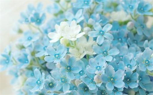 算命先生算婚姻(算命先生算婚姻准吗)