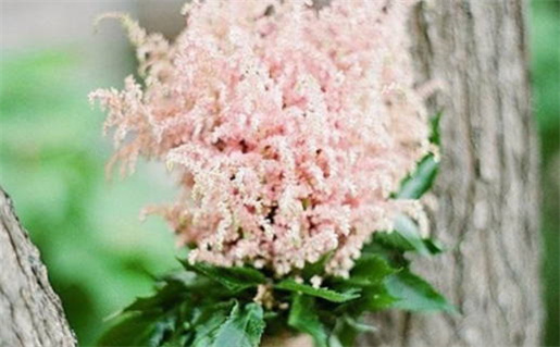 算命婚姻关(算命,婚姻)