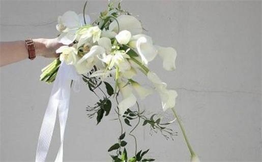 苏州知名算命地点推荐准确可靠体验分享