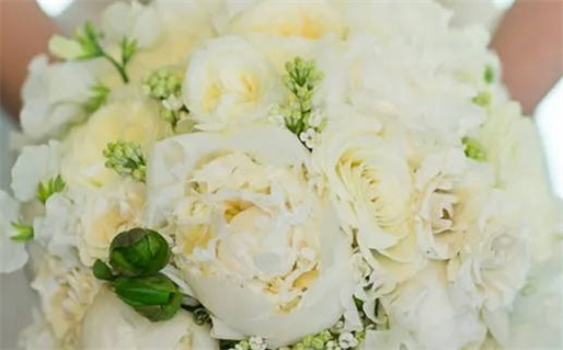 建_取名宜忌_五行笔画_名字寓意_建字的五行及姓名笔画