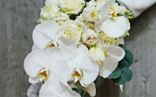 八字算命免费健康