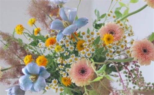 网上算命(网上算命准吗能信吗)