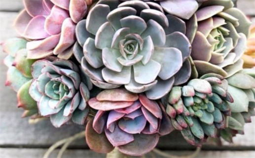 婚姻算命最准的大师_婚姻算命最准的大师是谁