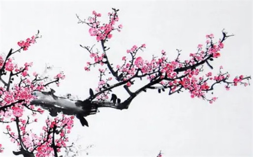 免费婚姻算命测试了解彼此的未来和缘分