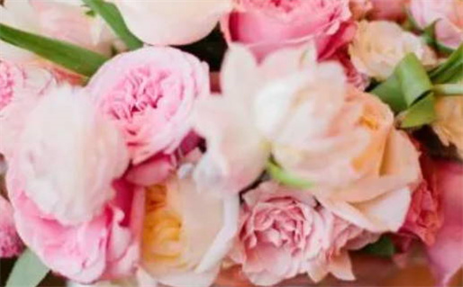 信婚姻算命吗_信婚姻算命吗是真的吗