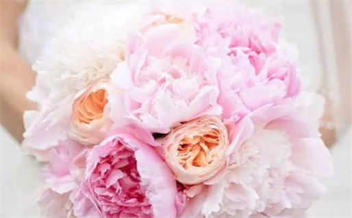 算命婚姻方位_算命婚姻方位以什么为准