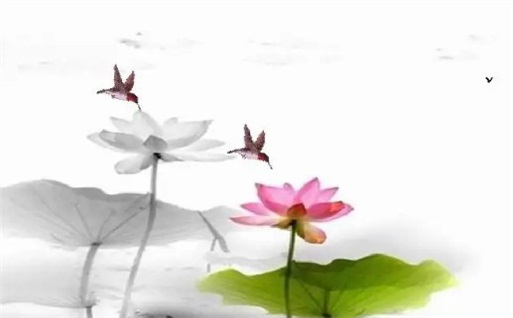农历二〇三一年八月初九黄历不适合动土吗,动土好日子查询