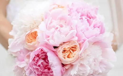 今日农历二〇二九年四月初八黄历举办婚礼不适宜吗,结婚吉日