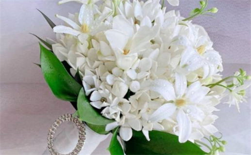 2026年07月10日结婚黄历查询