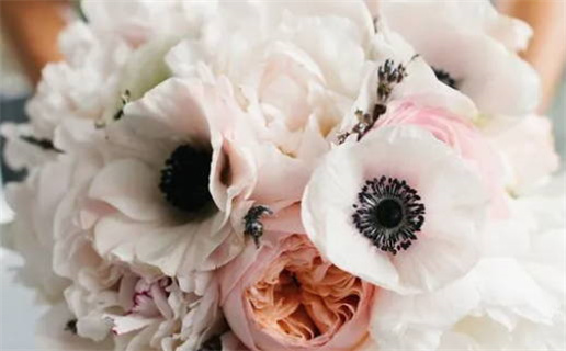 2026年08月13日领证黄历查询