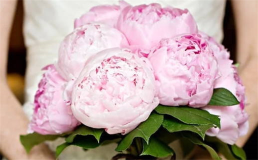 2027年01月13日领证黄历查询 2027年01月13日领证黄历查询