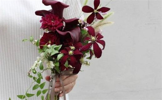 2026年11月17日领证黄历查询