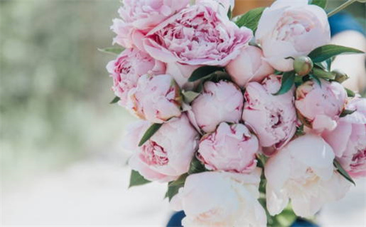 农历二〇二八年八月初十黄历领证不适宜吗,领证吉日查询