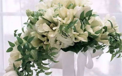 农历二〇二九年二月廿九黄历领证不适合吗,这天领证合适吗