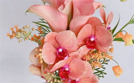 2026年08月22日领证黄历查询