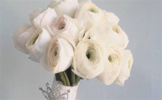 2026年12月05日领证黄历查询