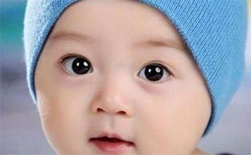 胡姓男孩子取名