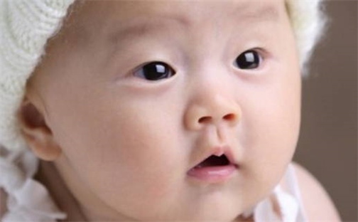 刘姓2026年03月28日出生的女孩子取什么名字好？八字五行取名分析