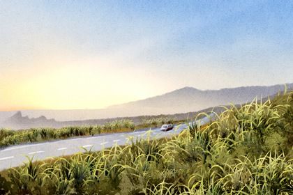 农历二〇二九年二月初五黄历取新车不适宜吗,提车吉日查询