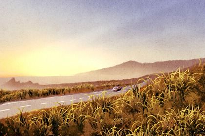 2028年11月08日提车黄历查询 2028年11月08日提车黄历查询