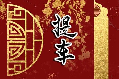 2032年9月2日提车指南：适宜活动与注意事项解析