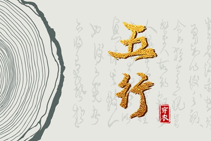 2029/01/31 五行穿衣宝典