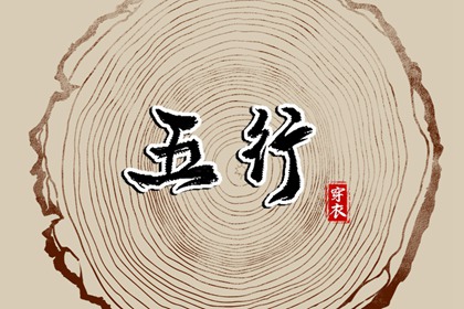 2029.02.28【五行穿衣】全攻略
