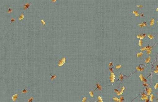 2026年6月17日装修日历：理想嫁娶与谨慎动土指南